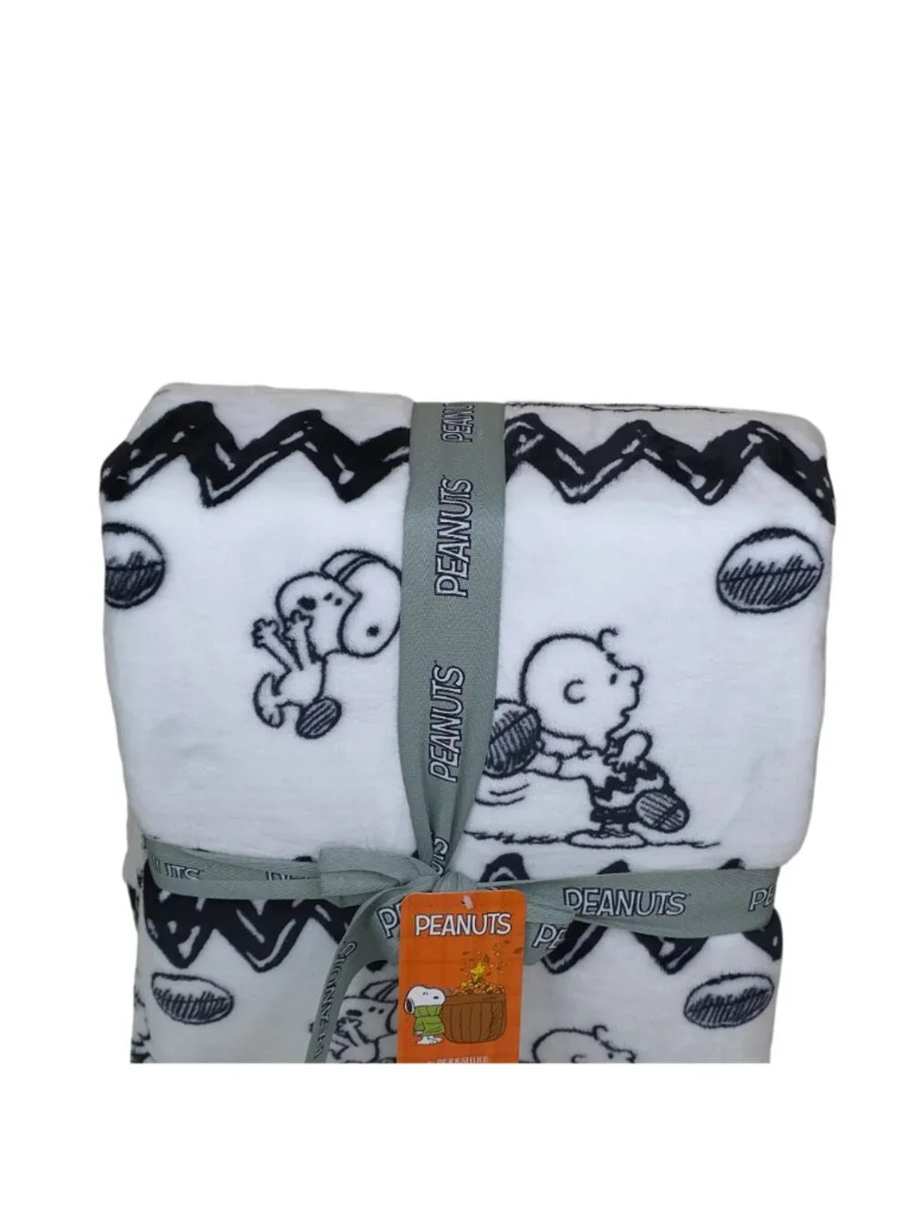 Peanuts VelvetLoft Plush Blanket Queen 90x90
